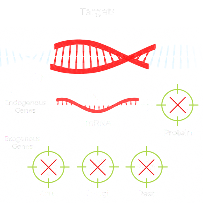 GEiGS® targets endogenous or exogenous genes