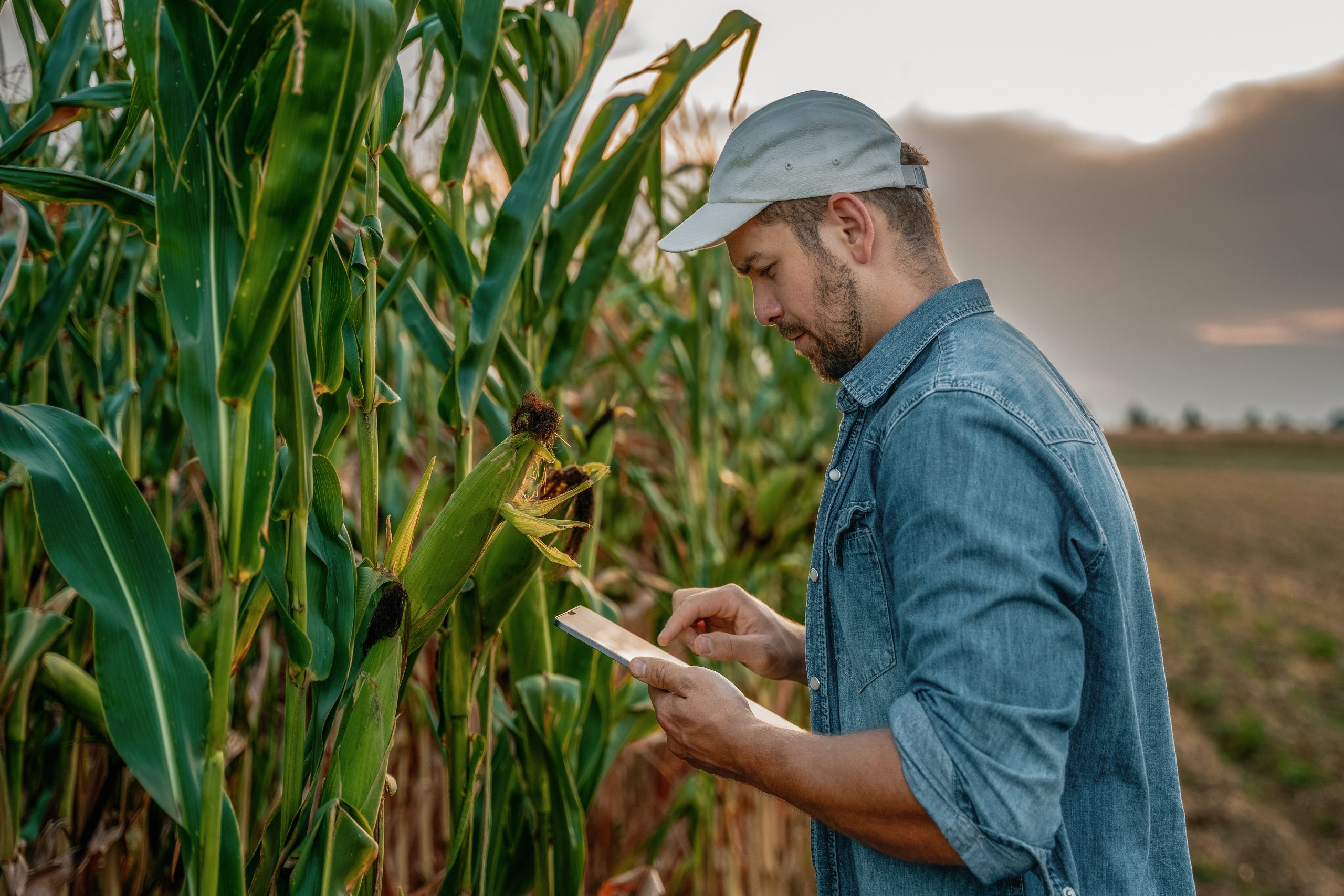 Tropic Announces Collaboration with Corteva Agriscience Utilizing Tropic’s Groundbreaking GEiGS® Technology to Develop Robust Disease Resistance Traits in Corn and Soybean