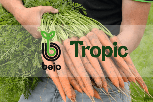 Tropic and Bejo's logos overlaid on an image of freshly picked carrots.